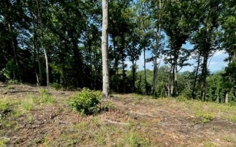 119 Highland Park Blairsville GA 30512