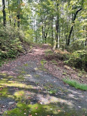 Lot 5 Sequoia Hills Lane Clayton GA 30525