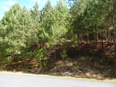 #361 The Cove At Thirteen Hundred Blairsville GA 30512