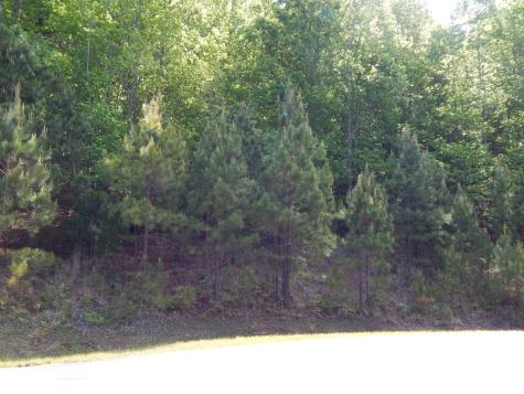 #361 The Cove At Thirteen Hundred Blairsville GA 30512