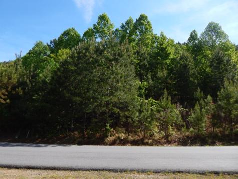 #361 The Cove At Thirteen Hundred Blairsville GA 30512