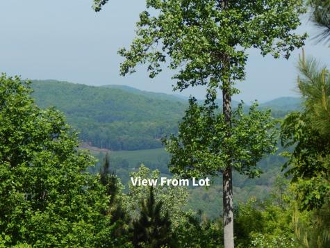 #361 The Cove At Thirteen Hundred Blairsville GA 30512