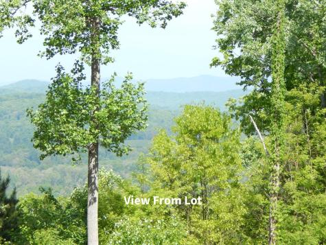#361 The Cove At Thirteen Hundred Blairsville GA 30512