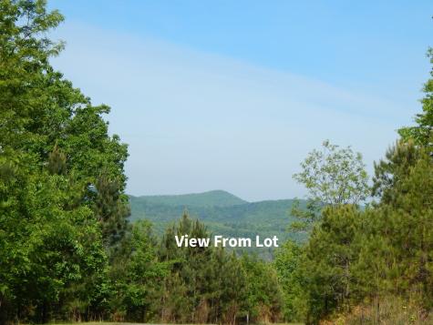 #361 The Cove At Thirteen Hundred Blairsville GA 30512