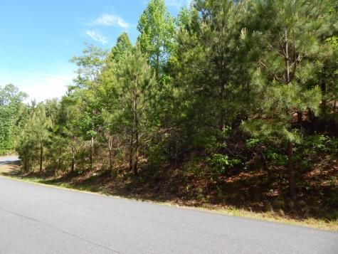 #361 The Cove At Thirteen Hundred Blairsville GA 30512