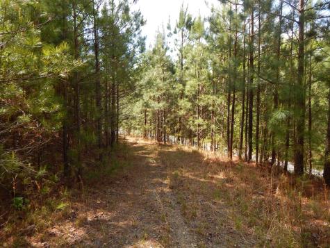 #361 The Cove At Thirteen Hundred Blairsville GA 30512