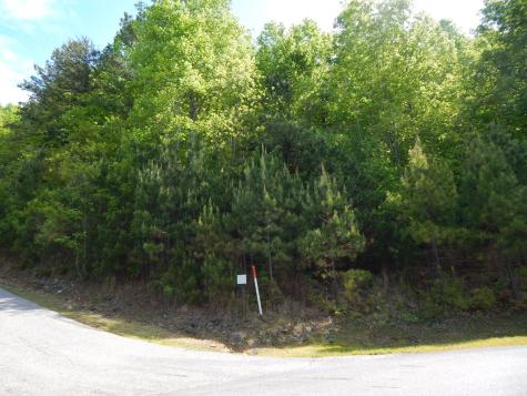 #361 The Cove At Thirteen Hundred Blairsville GA 30512