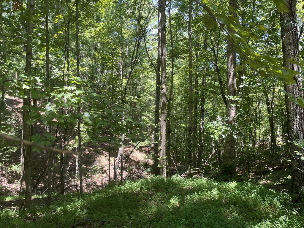 0 Twin Oaks Ellijay GA 30540