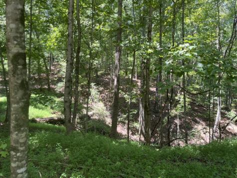 0 Twin Oaks Ellijay GA 30540