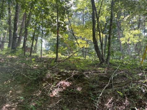 0 Twin Oaks Ellijay GA 30540