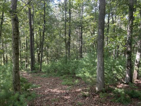 Lt 62 Harmony Way Morganton GA 30560