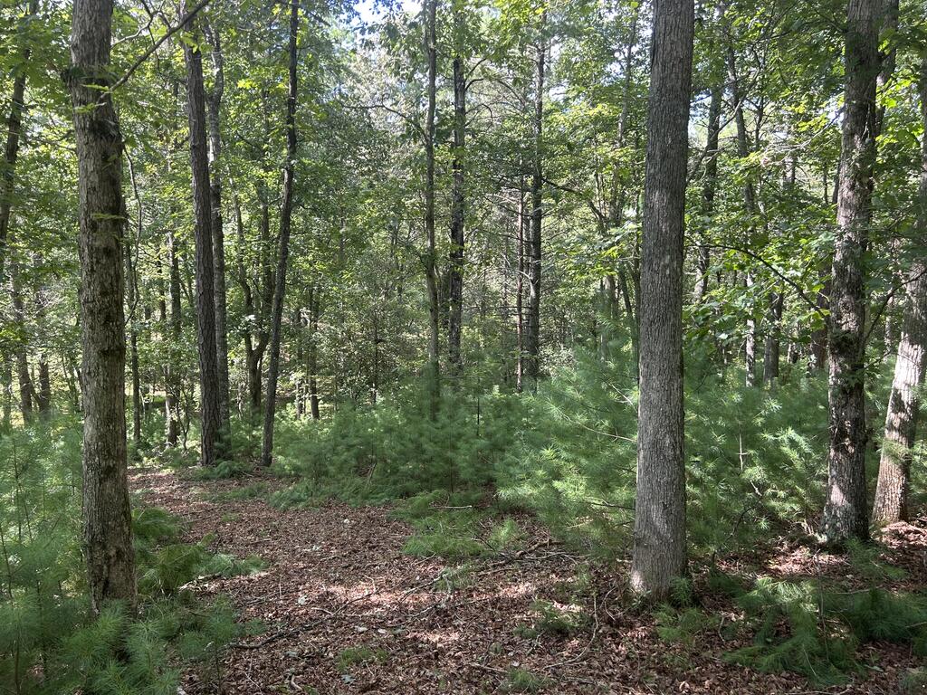 Lt 62 Harmony Way Morganton GA 30560