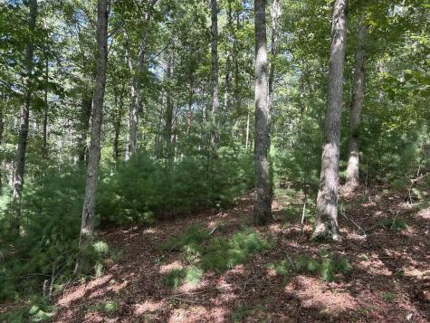 Lt 62 Harmony Way Morganton GA 30560
