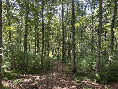 Lt 62 Harmony Way Morganton GA 30560