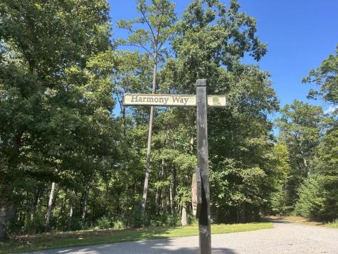Lt 62 Harmony Way Morganton GA 30560