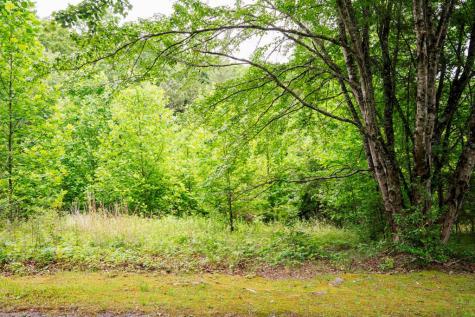 Lot 29 Hidden Forest Lane Hayesville NC 28904