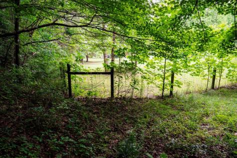 Lot 29 Hidden Forest Lane Hayesville NC 28904