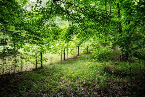 Lot 29 Hidden Forest Lane Hayesville NC 28904