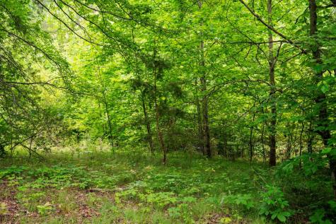 Lot 29 Hidden Forest Lane Hayesville NC 28904