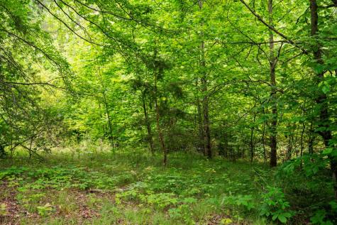 Lot 29 Hidden Forest Lane Hayesville NC 28904