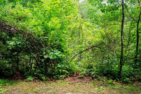 Lot 29 Hidden Forest Lane Hayesville NC 28904