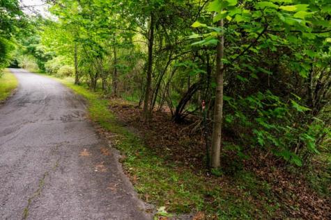 Lot 29 Hidden Forest Lane Hayesville NC 28904