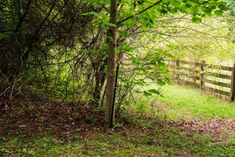 Lot 29 Hidden Forest Lane Hayesville NC 28904