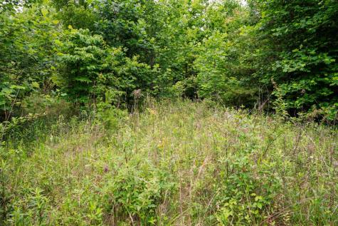 Lot 29 Hidden Forest Lane Hayesville NC 28904