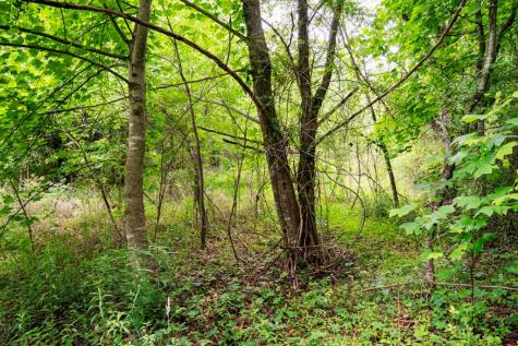Lot 29 Hidden Forest Lane Hayesville NC 28904