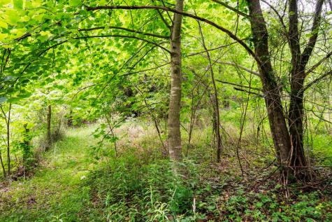 Lot 29 Hidden Forest Lane Hayesville NC 28904