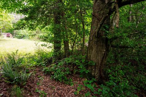 Lot 29 Hidden Forest Lane Hayesville NC 28904