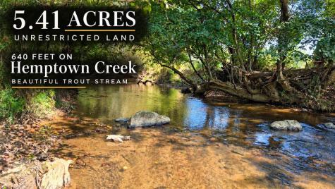 51 Evans Drive Morganton GA 30560