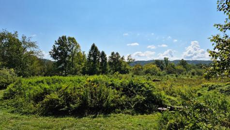 51 Evans Drive Morganton GA 30560