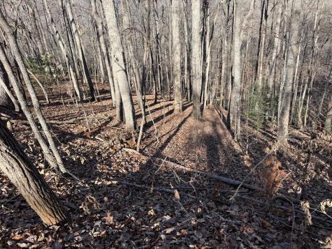 Lot 2 Doc Thomas Ridge Road Blairsville GA 30512