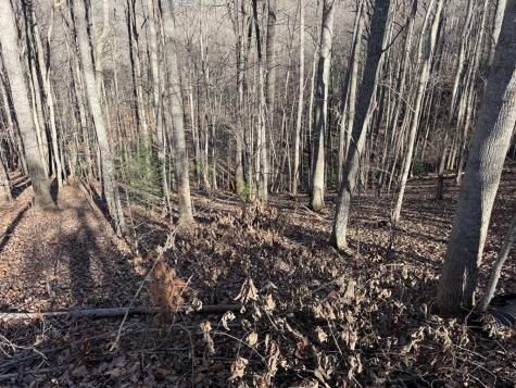 Lot 2 Doc Thomas Ridge Road Blairsville GA 30512