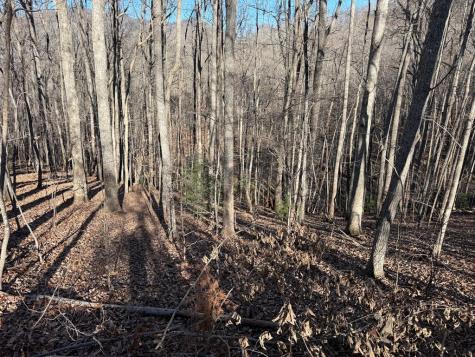 Lot 2 Doc Thomas Ridge Road Blairsville GA 30512