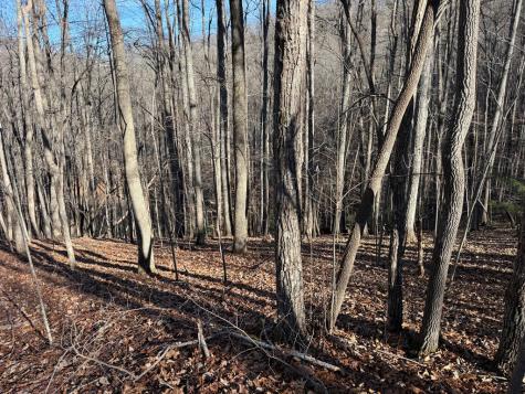 Lot 2 Doc Thomas Ridge Road Blairsville GA 30512