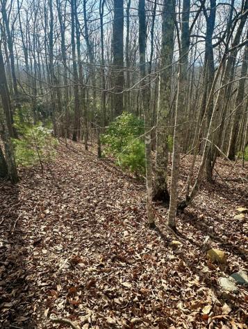 Lot 23 Blue Horizon Drive Blue Ridge GA 30513