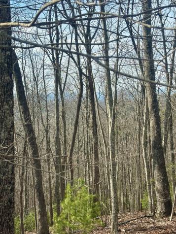 Lot 23 Blue Horizon Drive Blue Ridge GA 30513