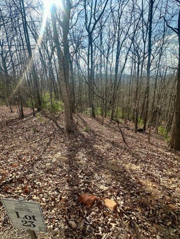 Lot 23 Blue Horizon Drive Blue Ridge GA 30513