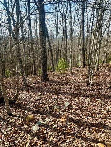 Lot 23 Blue Horizon Drive Blue Ridge GA 30513