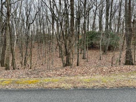 184 Street Andrews Way Ellijay GA 30536