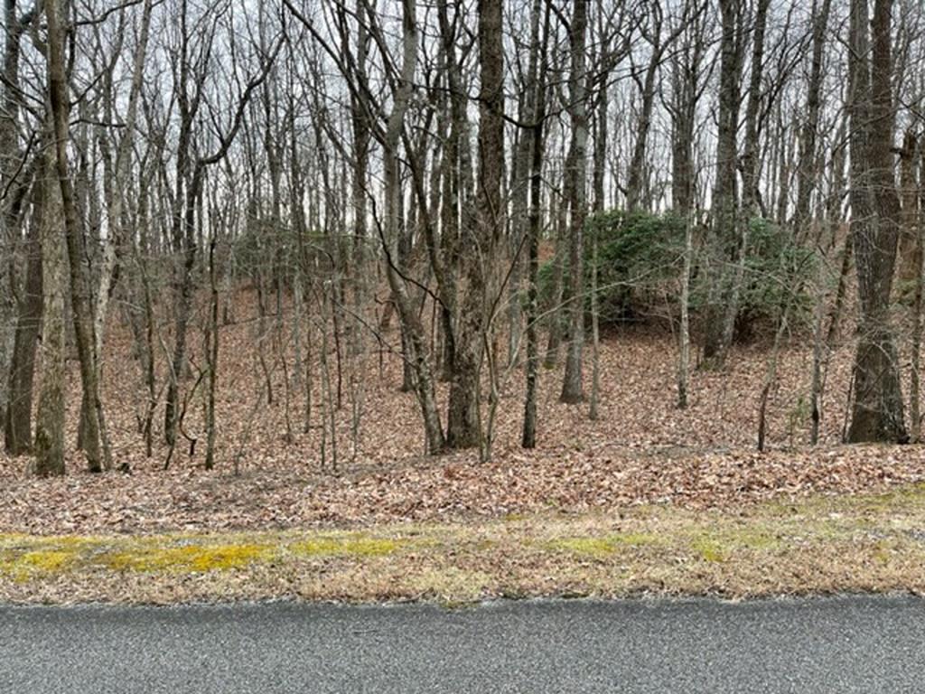 184 Street Andrews Way Ellijay GA 30536