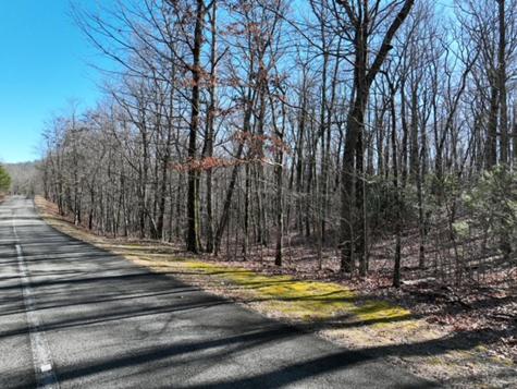 184 Street Andrews Way Ellijay GA 30536