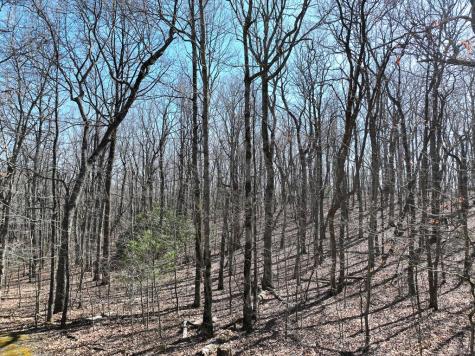 184 Street Andrews Way Ellijay GA 30536