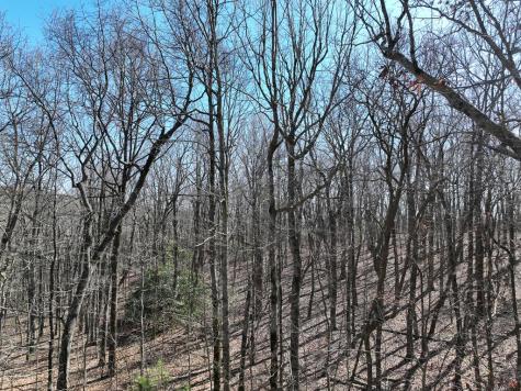 184 Street Andrews Way Ellijay GA 30536