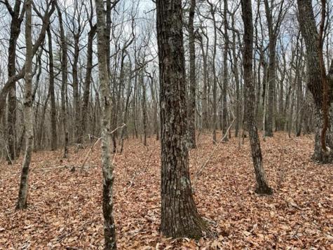 184 Street Andrews Way Ellijay GA 30536