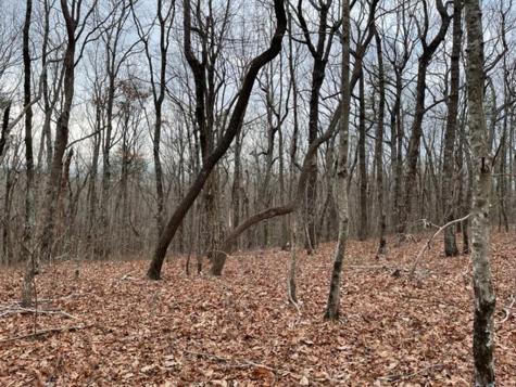 184 Street Andrews Way Ellijay GA 30536