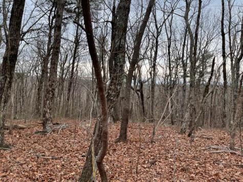 184 Street Andrews Way Ellijay GA 30536