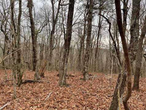 184 Street Andrews Way Ellijay GA 30536